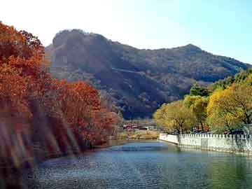 澳门二四六天天彩图库，蓝天观赏鸽论坛